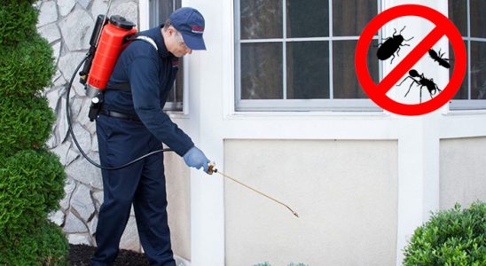Burhaniye Kemirgen İlaçlama böcek ilaçlama ve haşere kontrolü — ilaclama-tr.com